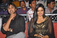 Nuvva Nena Audio Launch